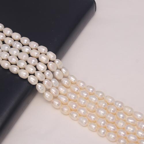 Cultured Rice Freshwater Pearl Beads DIY white mm Sold Per 34 cm Strand