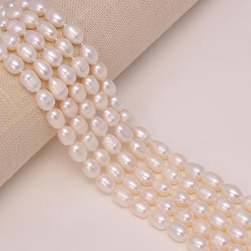 Rýže kultivované sladkovodní perle, Sladkovodní Pearl, DIY, bílý, about:6-7mm, Prodáno za 37 cm Strand