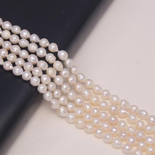 Krumpir Kulturan Slatkovodni Pearl perle, možete DIY, bijel, about:5-6mm, Prodano Per 35 cm Strand