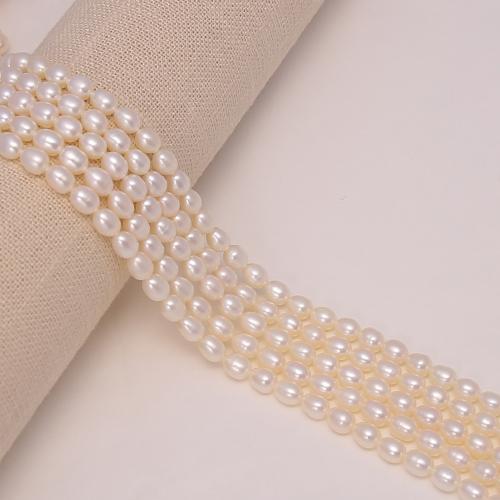 Rice ferskvandskulturperle Beads, Ferskvandsperle, Ris, du kan DIY, hvid, about: 6-7mm, Solgt Per 38 cm Strand