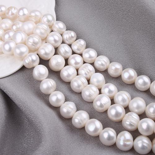 Přírodní sladkovodní perly perlí, Sladkovodní Pearl, Mírně kulaté, DIY, bílý, about:11-12mm, Prodáno za Cca 38 cm Strand