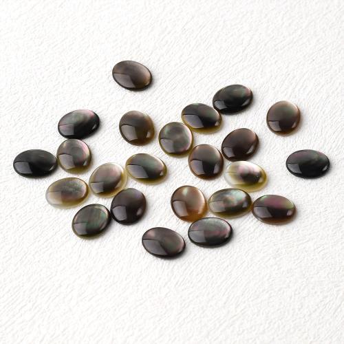 Muschel Cabochons, Black+Lip+Shell, oval, poliert, DIY, 8x10mm, verkauft von PC