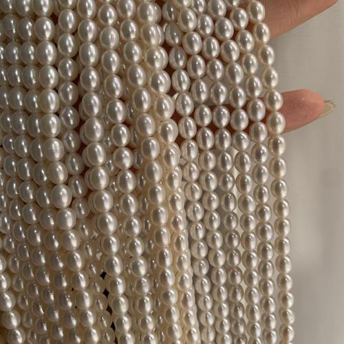 Rice Kulturan Slatkovodni Pearl perle, Riža, možete DIY, bijel, about:5.5-6mm, Prodano Per Približno 38 cm Strand