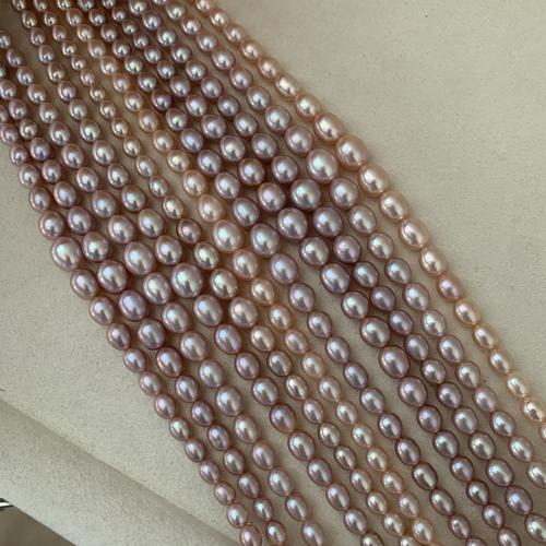 Rýže kultivované sladkovodní perle, Sladkovodní Pearl, DIY, více barev na výběr, about:4-9mm, Prodáno za Cca 38 cm Strand