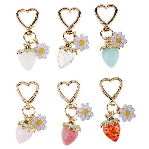 Zinc Alloy Key Clasp with Resin portable & multifunctional Sold By PC