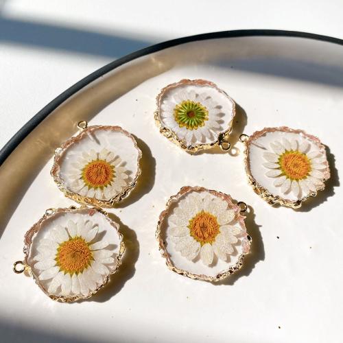 Harts Pendant, med Mässing, Daisy, epoxi klistermärke, DIY, 32mm, Ca 100PC/Bag, Säljs av Bag