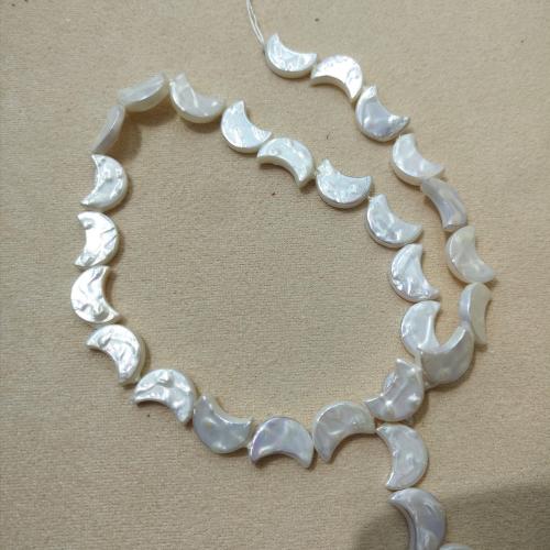 Perline conchiglia mari del sud, Shell Pearl, Luna, DIY, 9x13mm, Appross. 20PC/filo, Venduto da filo