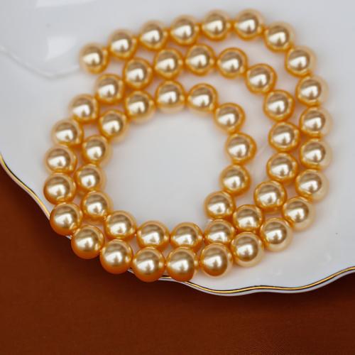 Perline conchiglia mari del sud, Shell Pearl, Cerchio, DIY & formato differente per scelta, dorato, Venduto per Appross. 40 cm filo