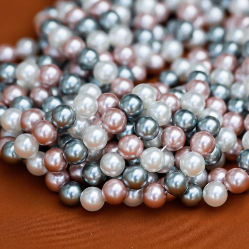 Χάντρες South Sea Shell, Shell Pearl, Γύρος, DIY, μικτά χρώματα, 10mm, Sold Per Περίπου 40 cm Strand