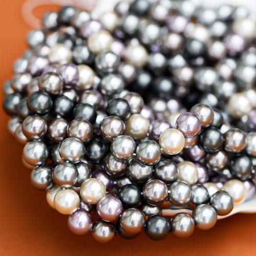 South Sea Shell Beads Shell Pearl Round DIY Sold Per Approx 40 cm Strand