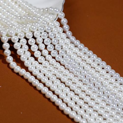 South Sea Shell Beads Shell Pearl Round DIY white Sold By Strand