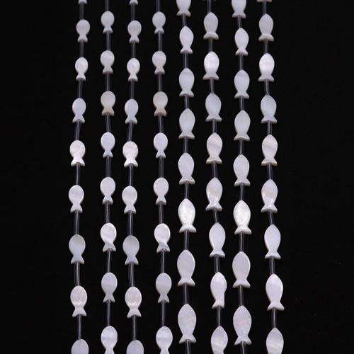 Natuurlijke zoetwaterschelp kralen, Freshwater Shell, Vis, DIY & verschillende grootte voor keus, wit, 15pC's/Strand, Verkocht door Strand