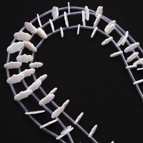 Natural Freshwater Shell Beads Hand DIY white Sold By Strand