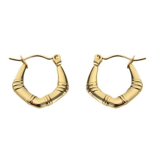 Titanium Steel  Earring gold color plated fashion jewelry golden Sold By PC