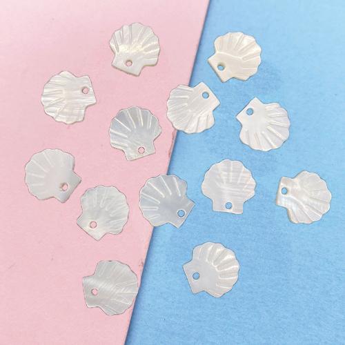 Shell Hangers, Freshwater Shell, Schelp, DIY, wit, 12x12mm, Verkocht door PC