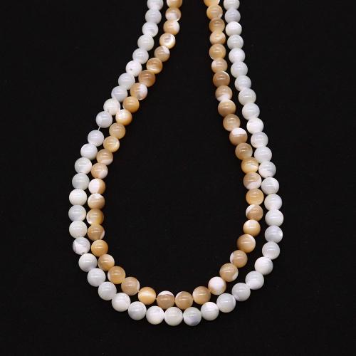 Natural Sea Shell Beads, conchiglia marina, Cerchio, DIY & formato differente per scelta, nessuno, Venduto per Appross. 38 cm filo