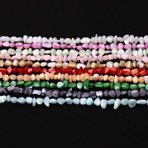 Natural Seashell Beads DIY mm Sold Per Approx 38 cm Strand