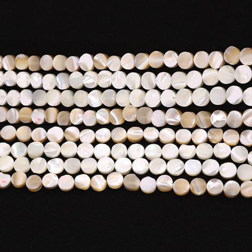 Natural Seashell Beads Flat Round DIY Sold Per Approx 38 cm Strand