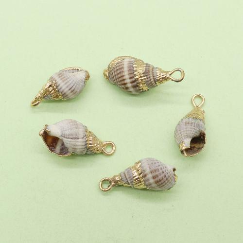 Natural trompete Shell pingentes, concha, with cobre, Concha, cromado de cor dourada, DIY, 7x17mm, vendido por PC