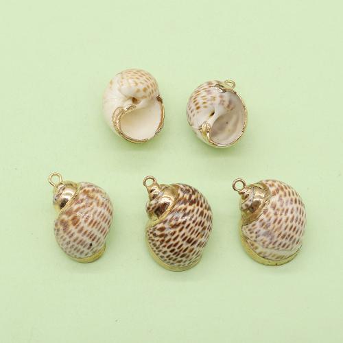 Natural trompete Shell pingentes, concha, with cobre, Concha, cromado de cor dourada, DIY & vazio, about:15x20mm, vendido por PC