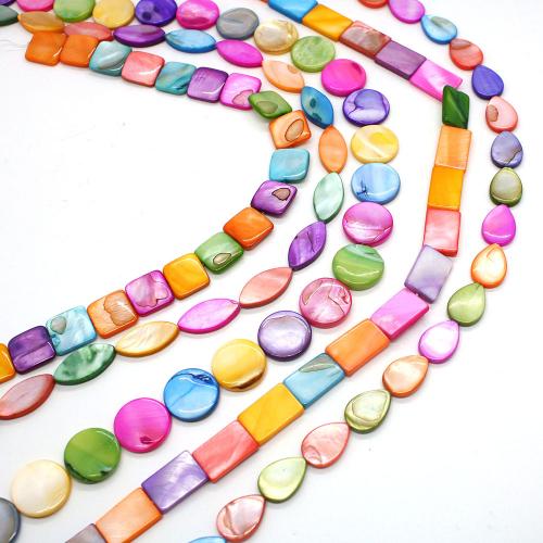 Natural Freshwater Shell Beads & DIY multi-colored Sold Per Approx 38 cm Strand