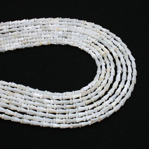 Naturlig Freshwater Shell Perler, du kan DIY, 4x8mm, Solgt Per Ca. 38 cm Strand