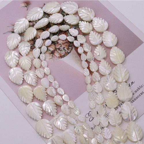 Přírodní Korálky Sea Shell, List, DIY & různé velikosti pro výběr, bílý, Prodáno za Cca 38 cm Strand