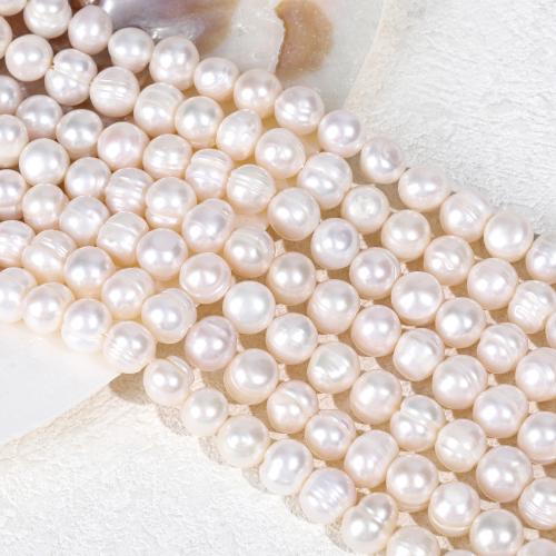 Brambor pěstované sladkovodní perle, Sladkovodní Pearl, DIY, bílý, abput:9-10mm, Prodáno za Cca 36-38 cm Strand