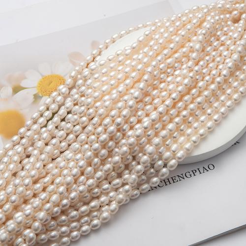 Natural Freshwater Pearl Loose Beads DIY 7-8mm Sold Per 40 cm Strand