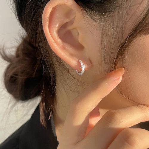 Boucles d'oreilles en laiton zircon cubique pavent, Placage, pavé de micro zircon & pour femme, couleur platine, 14mm, Vendu par paire