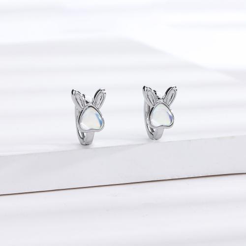 Ottone Leverback Orecchini, with Moonstone, Coniglio, placcato, per la donna, color platino, Rabbit 11MM, diameter 13MM, Venduto da coppia