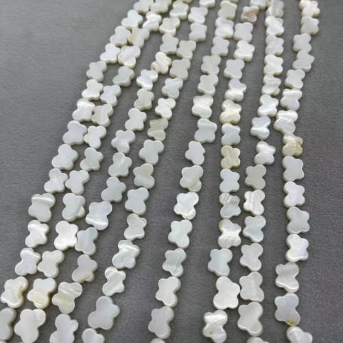 Natural Freshwater Shell Beads Butterfly DIY white Approx Sold By Strand