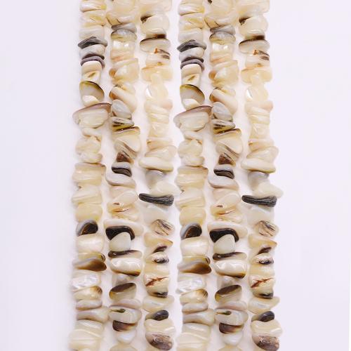 Naturlige muslingeskal perler, Sea Shell, Uregelmæssig, du kan DIY, about:6x11mm, Solgt Per Ca. 38 cm Strand