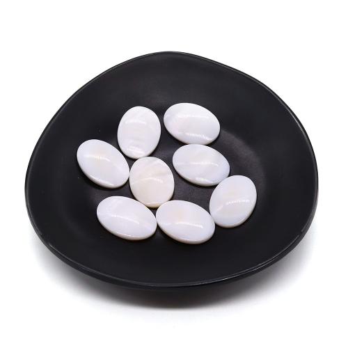 Shell Cabochons Freshwater Shell Oval DIY white Sold By PC