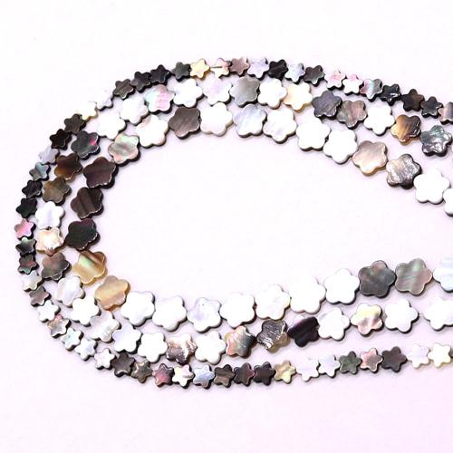 Natural Sea Shell Beads, conchiglia marina, Fiore, DIY & formato differente per scelta, Venduto per Appross. 38 cm filo