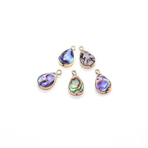 Naturlig Abalone Shell Pendler, Teardrop, guldfarve belagt, du kan DIY, 10x18mm, Solgt af PC