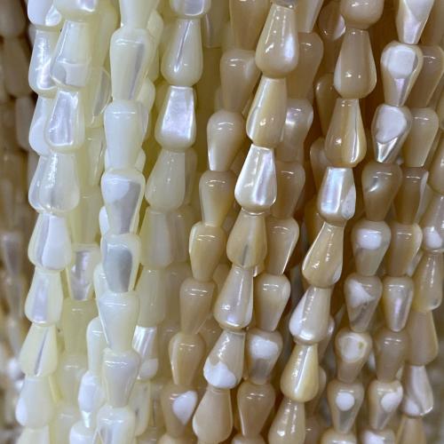 Natural Freshwater Shell Beads DIY Sold By Strand