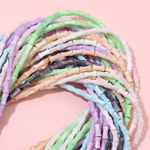 Natural Freshwater Shell Beads Bamboo DIY Approx Sold By Strand