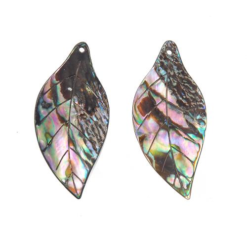 Naturlig Abalone Shell Pendler, Leaf, Carved, du kan DIY, flerfarvede, 48x22mm, Solgt af PC