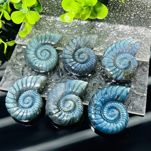 Fashion Decoration Labradorite Conch fashion jewelry blue Sold By PC