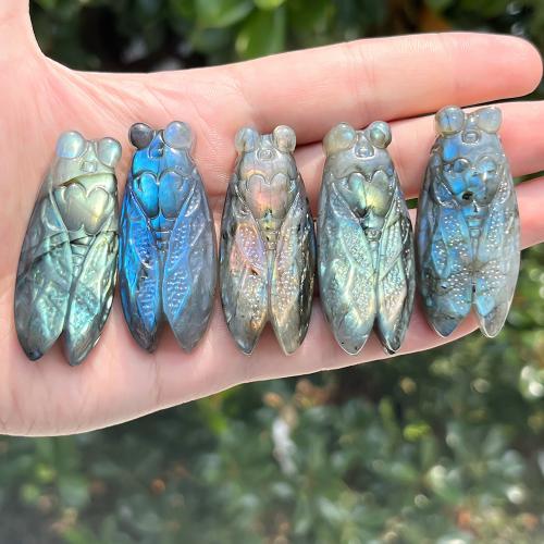 Fashion Decoration Labradorite Cicada fashion jewelry blue Sold By PC