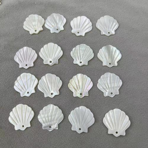 Shell Medálok, Édesvízi Shell, Héj, DIY, fehér, 23x23mm, Által értékesített PC