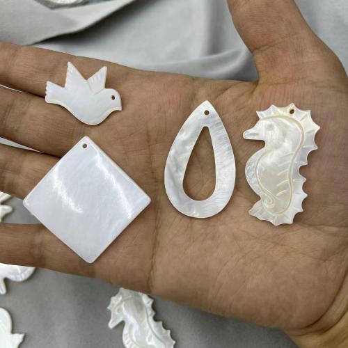 Shell Pendants Freshwater Shell & DIY Sold By PC