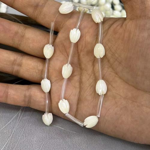 Natural Freshwater Shell Beads Trochus Flower DIY white Sold By PC