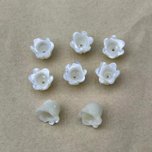 Grânulos do escudo de água doce natural, Início Shell, Flor, DIY, branco, 8x11mm, vendido por PC