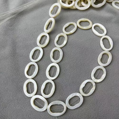 Natural Freshwater Shell Beads Oval DIY & hollow white Approx Sold By Strand