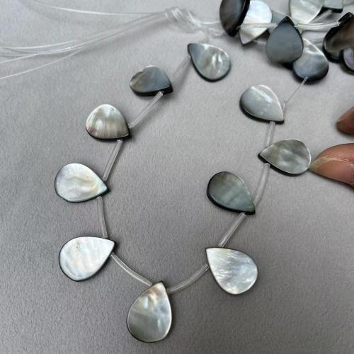 Φυσικά Χάντρες Sea Shell, Teardrop, DIY, μαύρος, 15x20mm, 10PCs/Strand, Sold Με Strand