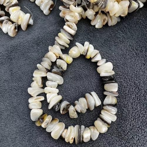 Natural Sea Shell Beads, conchiglia marina, Irregolare, DIY, colori misti, about:12-16mm, Appross. 68PC/filo, Venduto da filo