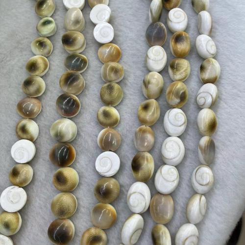 Natural Freshwater Shell Beads Dome DIY 15mm Approx Sold By Strand