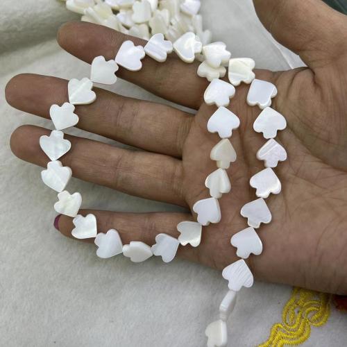 Natural Freshwater Shell Beads Umbrella DIY white mm Approx Sold By Strand